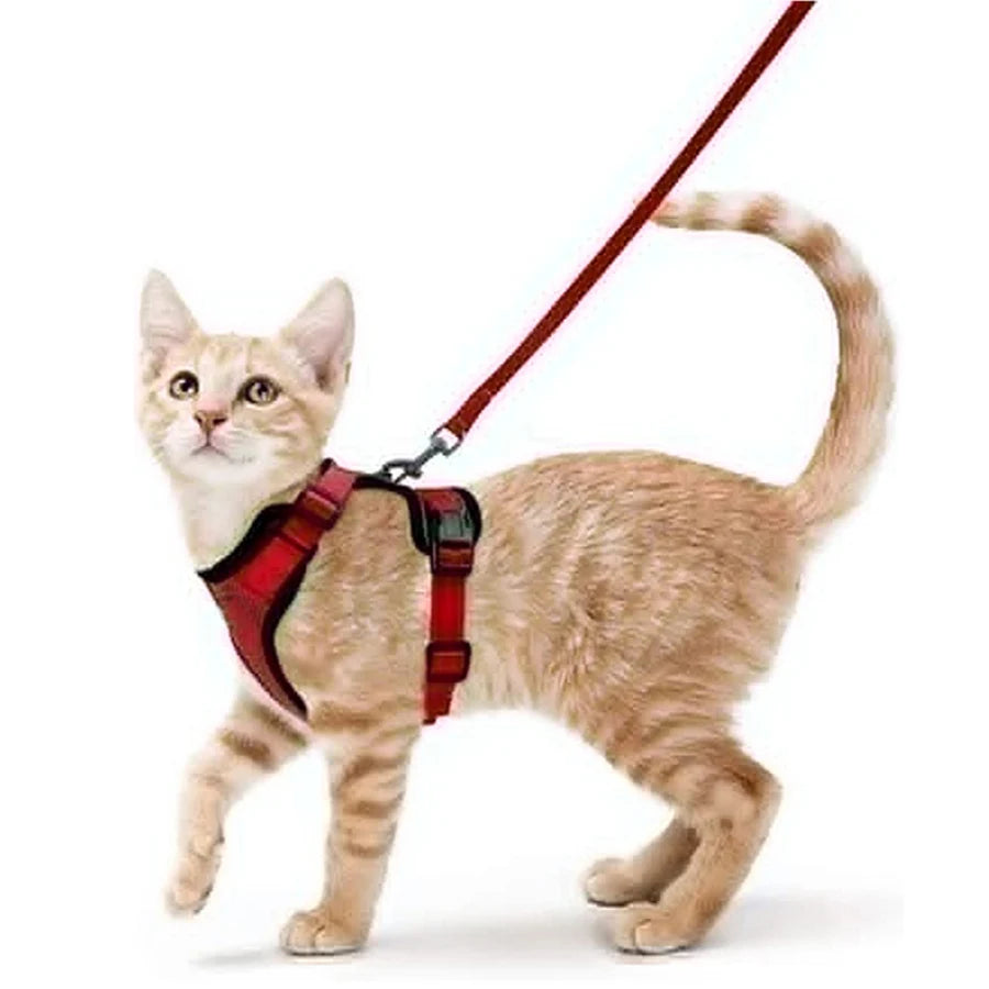 Escape-Proof Cat Harness & Leash Set