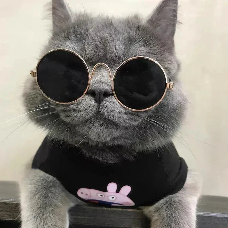 Cute Pet Sunglasses – UV Protection for Small Dogs, Cats & Photo Props