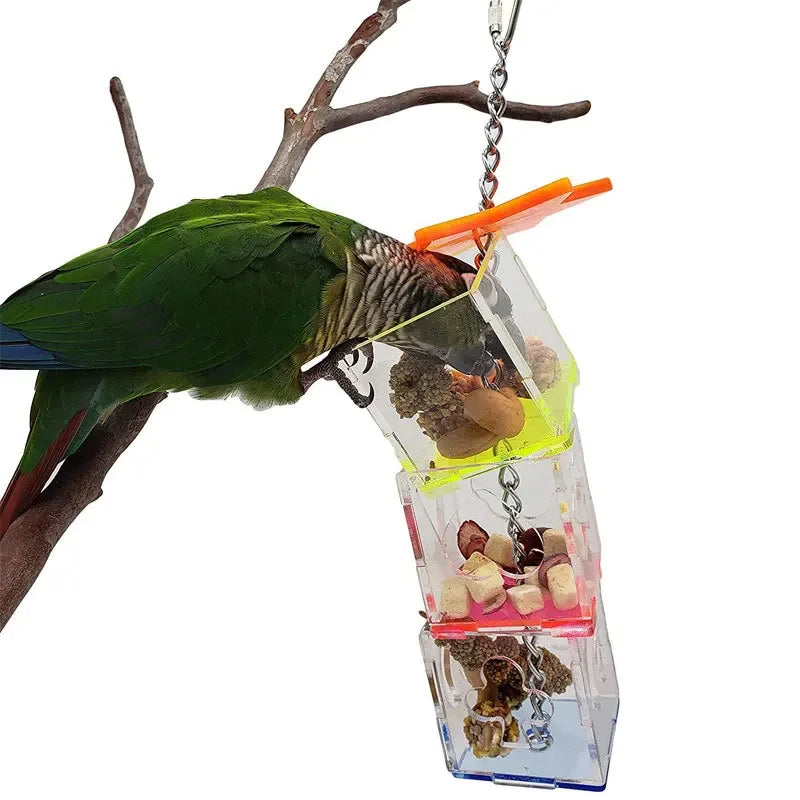 Acrylic Parrot Puzzle Toy