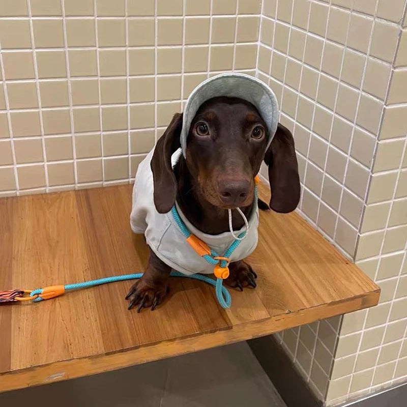 Summer T-Shirt for Dachshunds, Soft Grey Short Sleeve Vest for Wiener Dogs