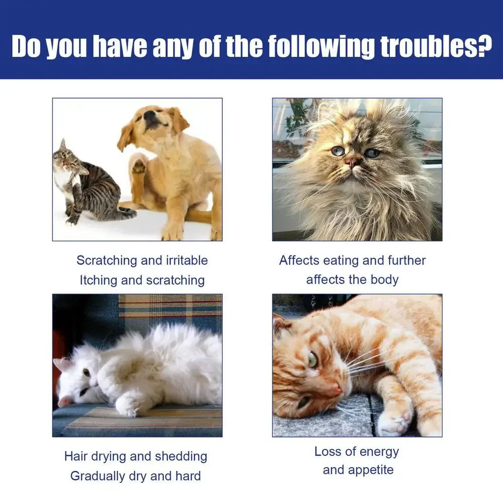 Pet Flea & Tick Drops, Safe Insecticide for Cats, Dogs & Home Use