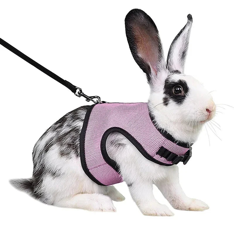 Multi-Color Breathable Vest & Adjustable Harness with Leash for Small Pets