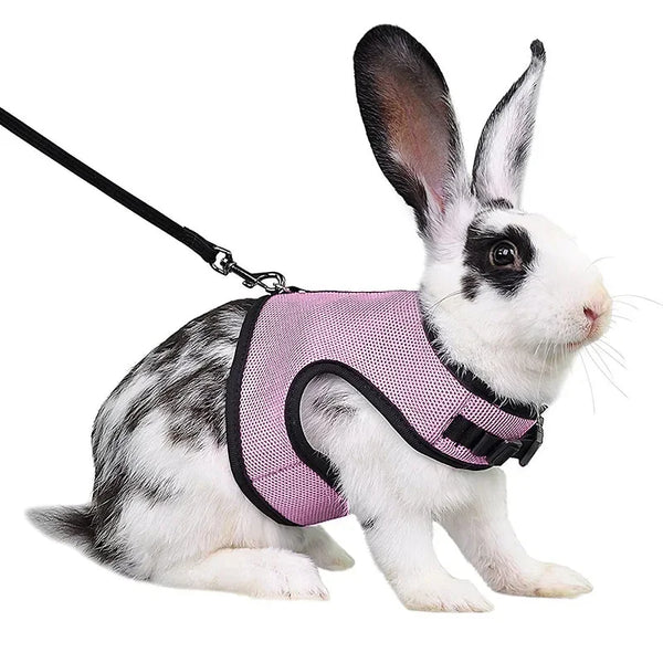Multi-Color Breathable Vest & Adjustable Harness with Leash for Small Pets