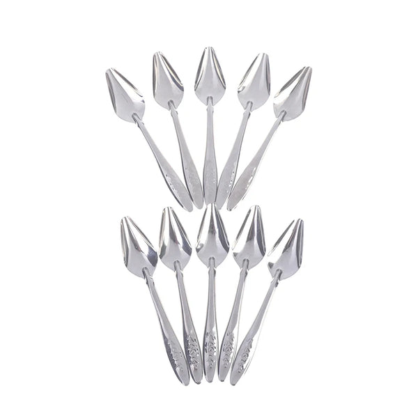 Baby Bird Feeding Spoons – Stainless Steel Milk & Medicine Feeder for Parrots