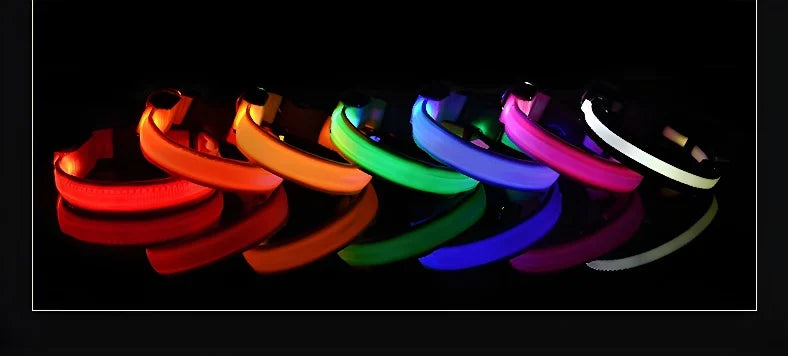 Luminous LED Dog Collar