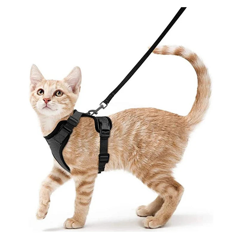 Escape-Proof Cat Harness & Leash Set