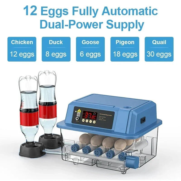 12/15/24 Egg Automatic Poultry Incubator with Waterbed & Temperature Control