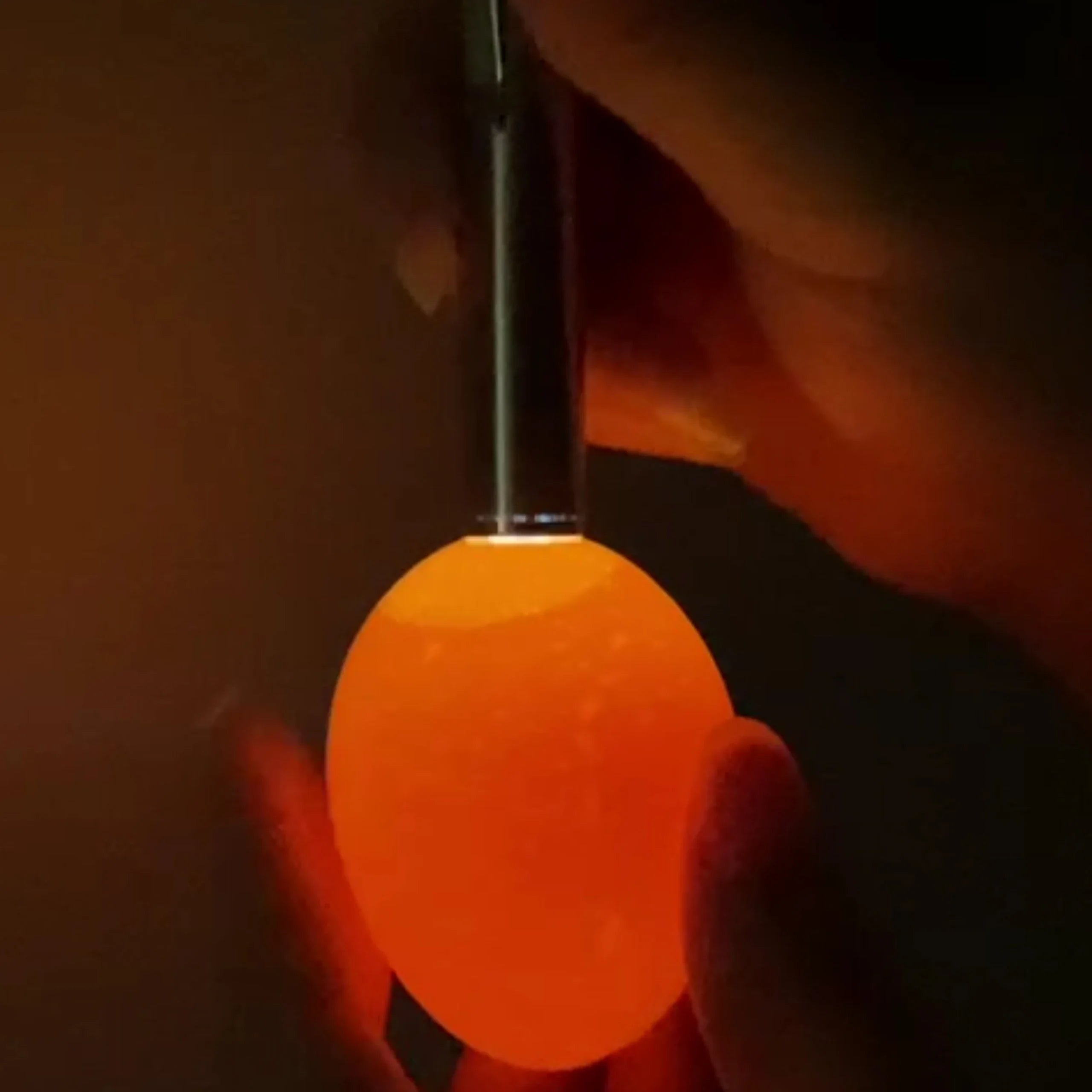 LED Egg Candler for Monitoring Egg Development