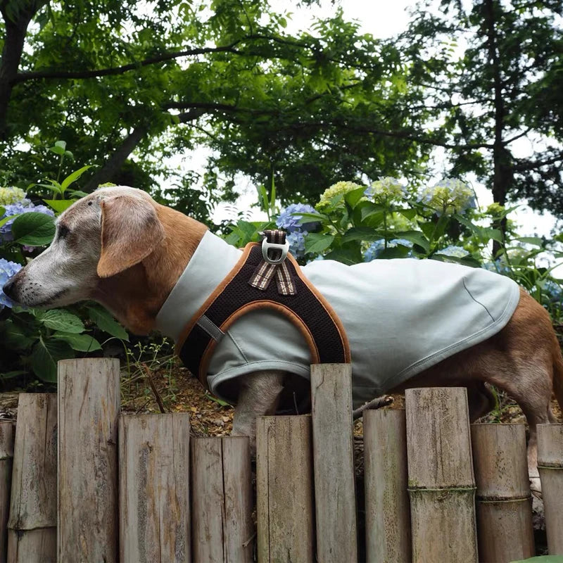 Summer T-Shirt for Dachshunds, Soft Grey Short Sleeve Vest for Wiener Dogs