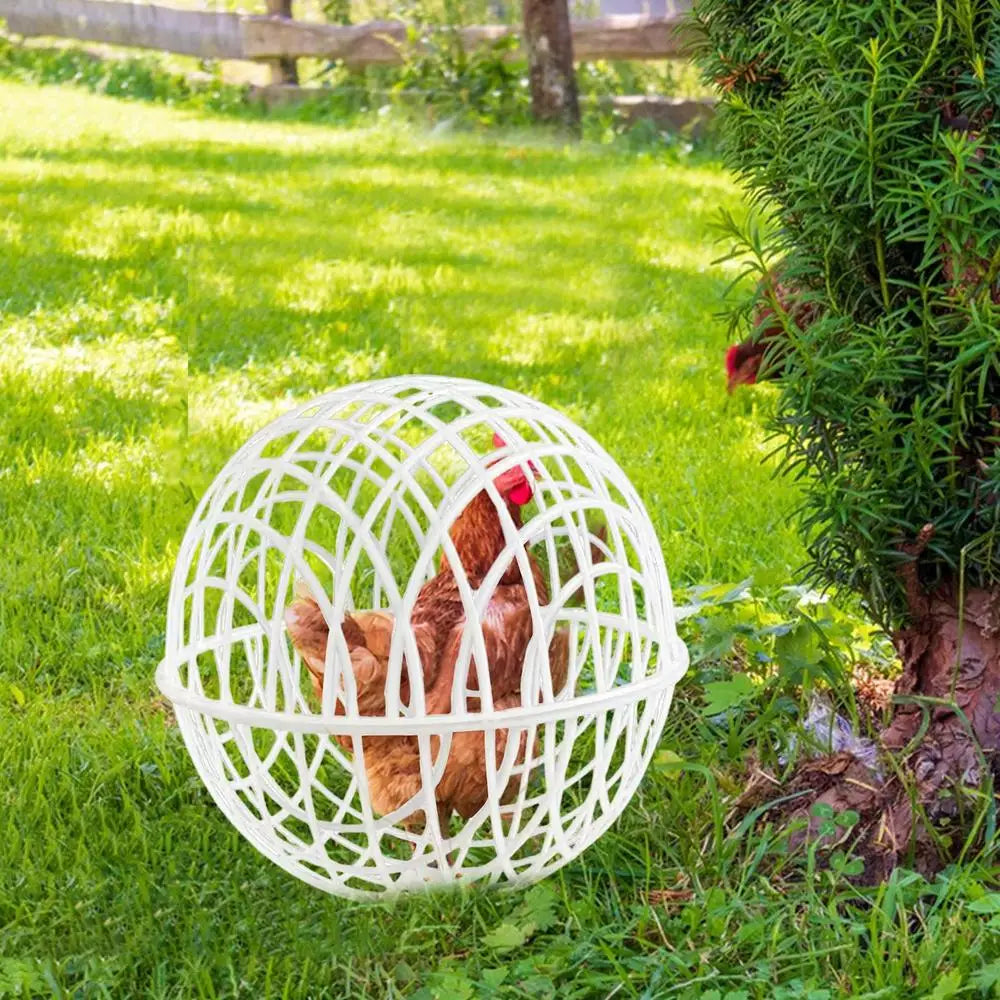 3-Piece Chicken Rolling Safety Ball Cages for Small Pets