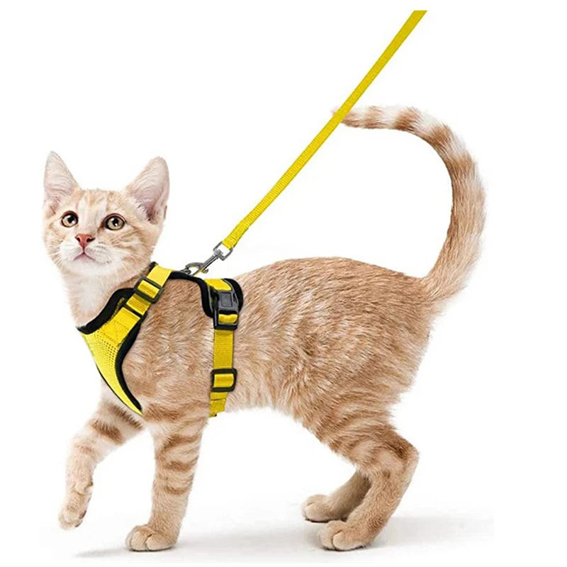 Escape-Proof Cat Harness & Leash Set