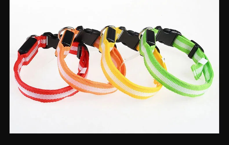 Luminous LED Dog Collar