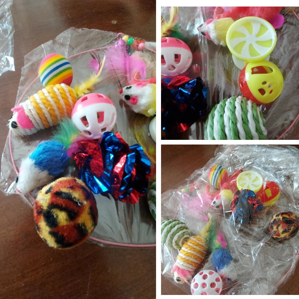 Cat Toy Variety Set with Teaser Sticks, Mice & Balls