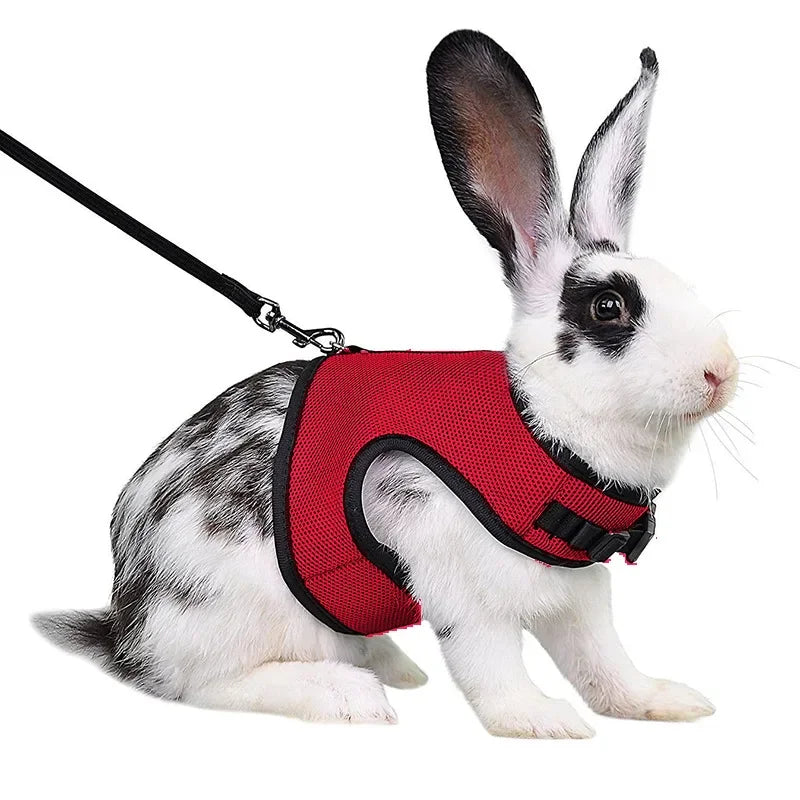 Multi-Color Breathable Vest & Adjustable Harness with Leash for Small Pets