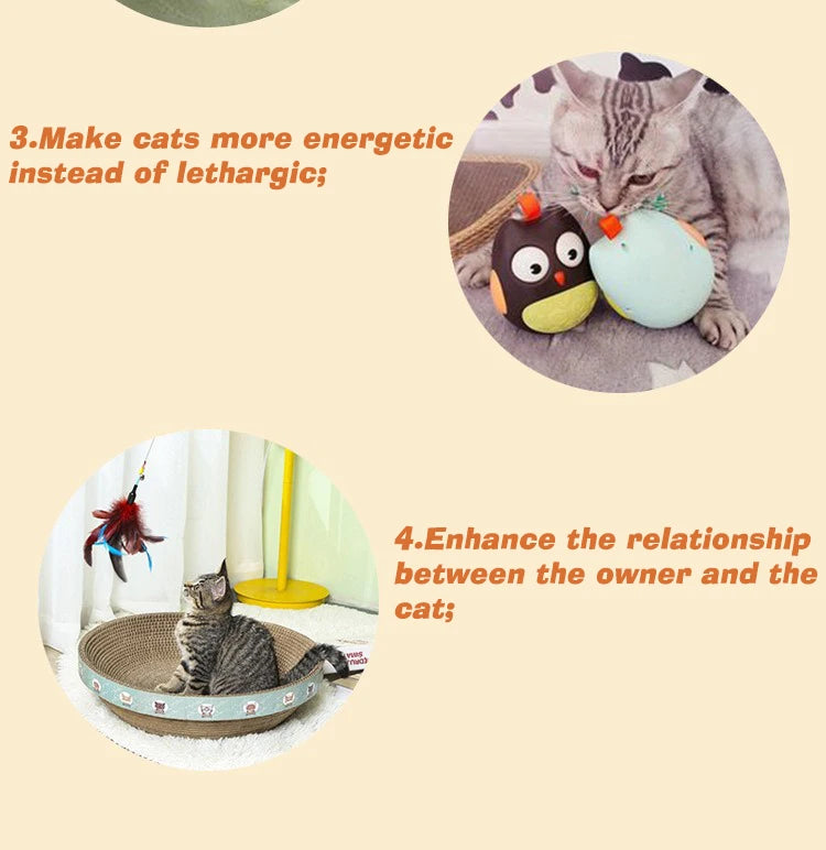 Interactive Chirping Mouse for Kittens to Relieve Boredom
