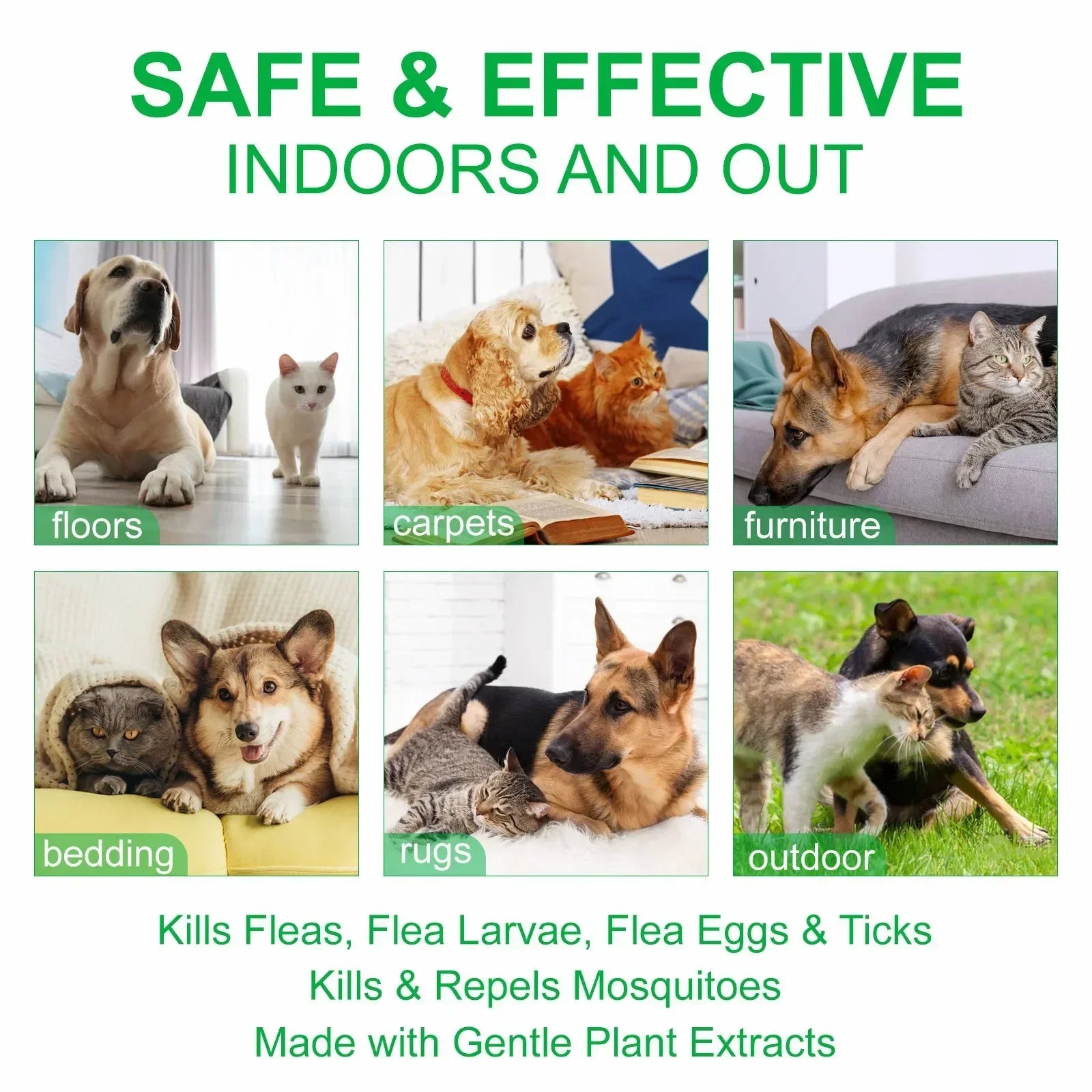 Natural Flea & Tick Spray for Dogs & Cats
