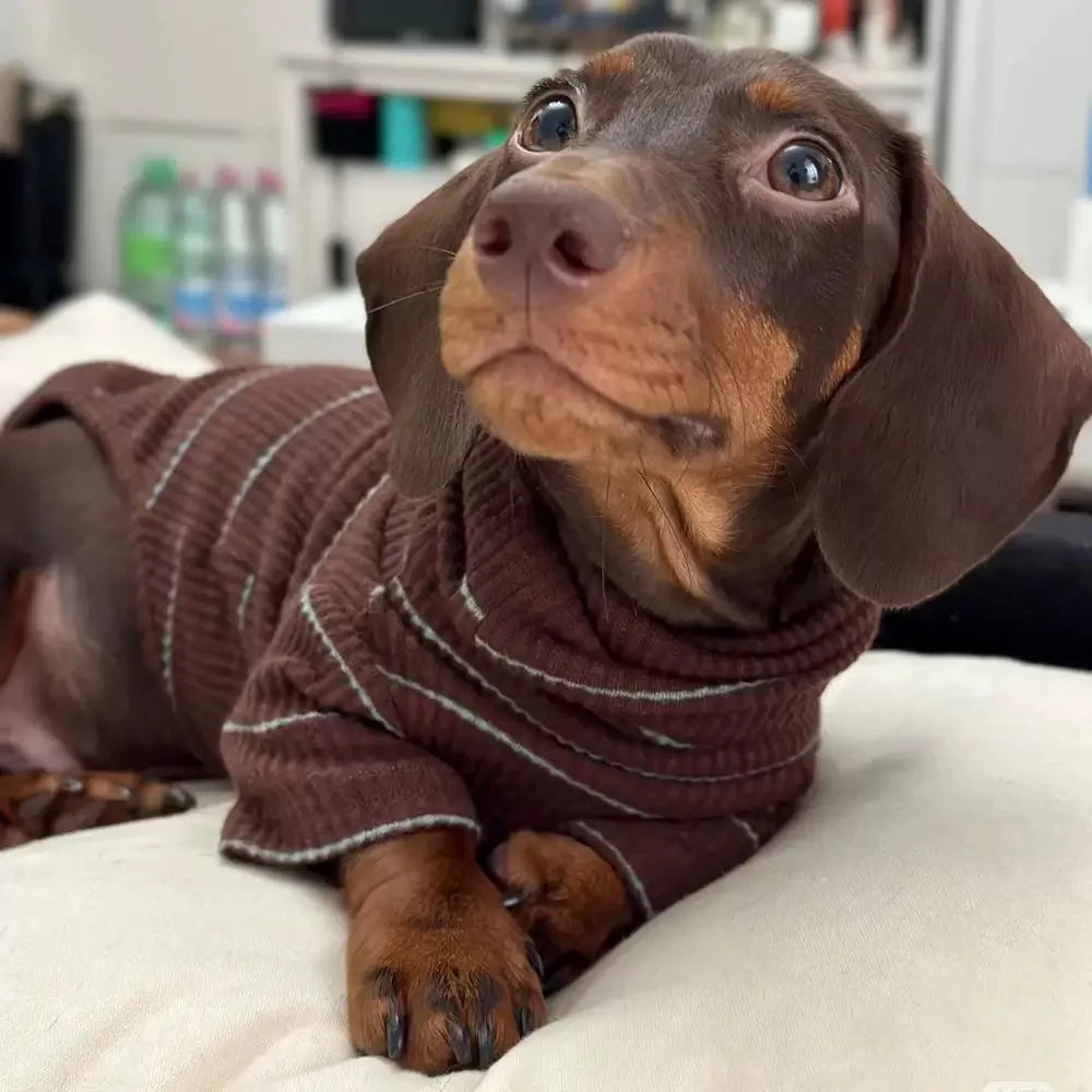 Brown Stripe 2-Leg Dachshund Sweater, Warm Elastic Dog Clothes