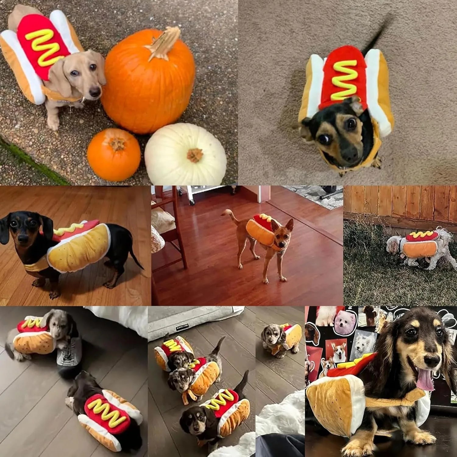Hot Dog Halloween Costume for Dachshunds, Adjustable Pet Party Outfit