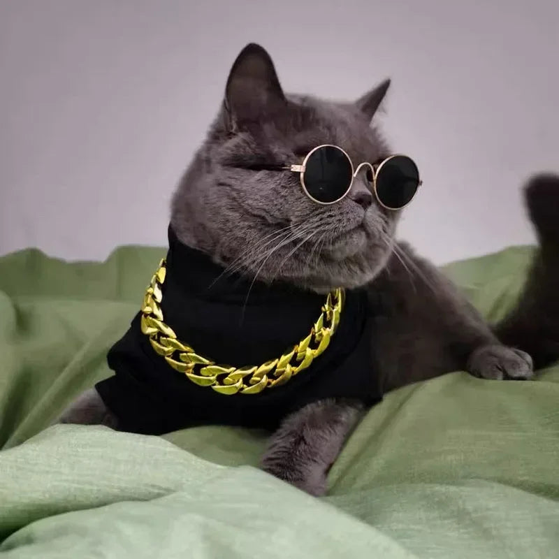 Cute Pet Sunglasses – UV Protection for Small Dogs, Cats & Photo Props