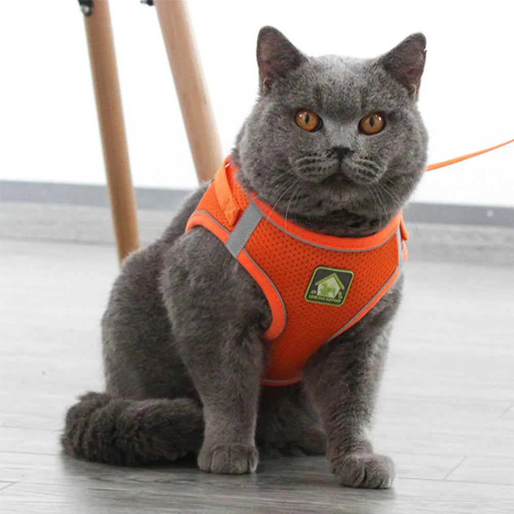 Escape-Proof Vest for Cats, Puppies, and Small Dogs