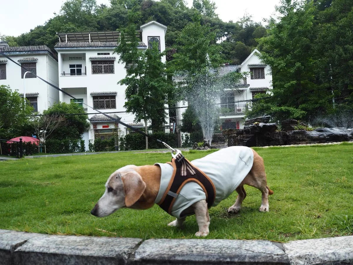 Summer T-Shirt for Dachshunds, Soft Grey Short Sleeve Vest for Wiener Dogs