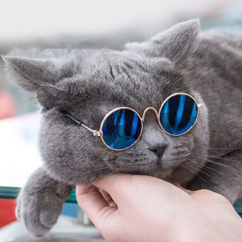 Cute Pet Sunglasses – UV Protection for Small Dogs, Cats & Photo Props