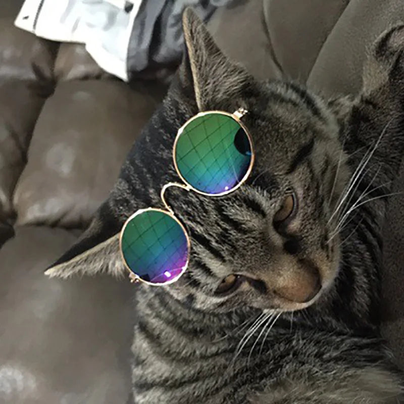 Vintage Round Pet Sunglasses for Small Dogs & Cats