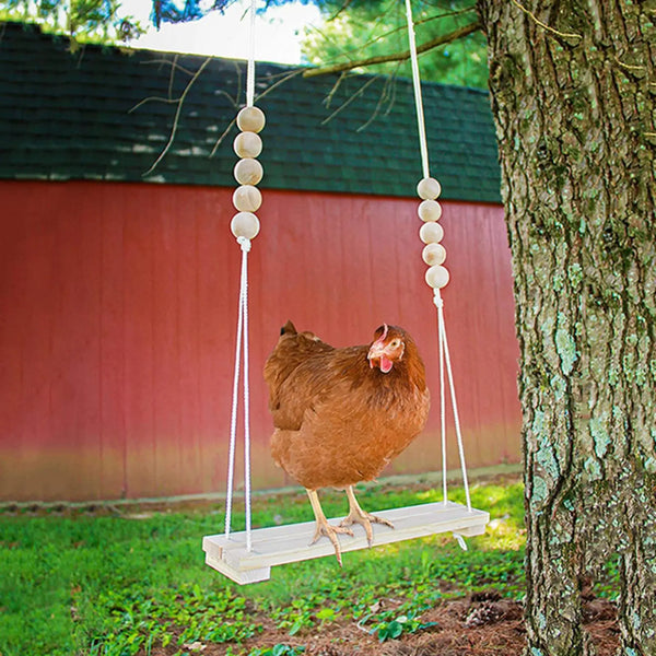 Chicken Swing & Bird Perch