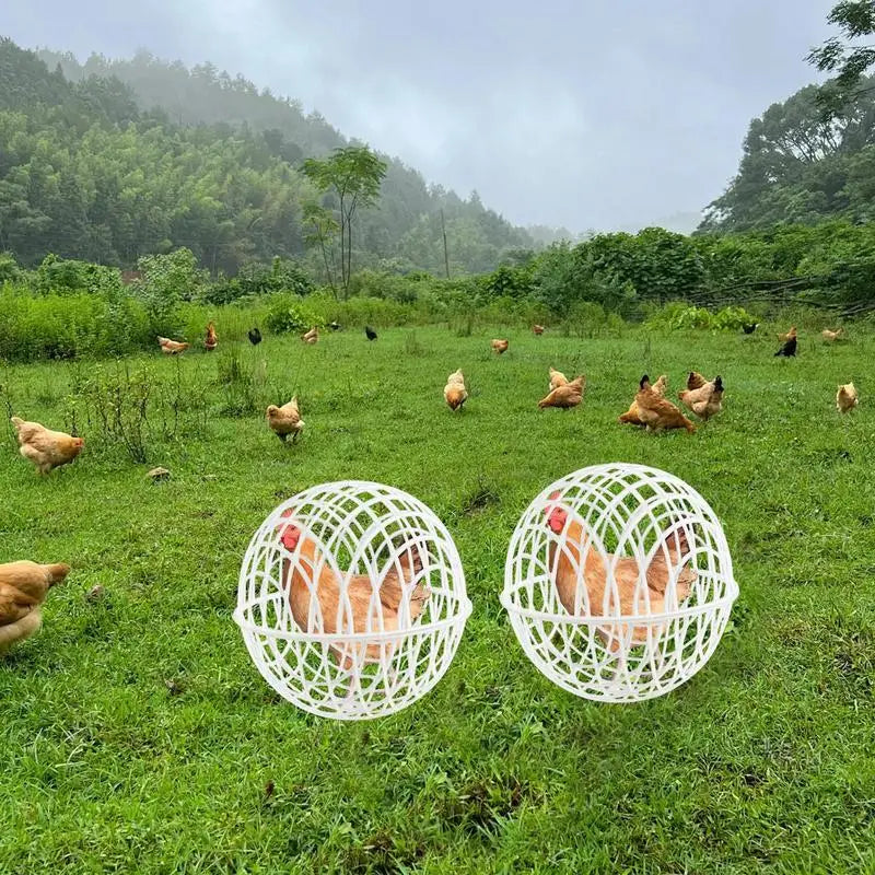3-Piece Chicken Rolling Safety Ball Cages for Small Pets