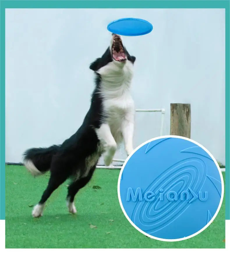 OUZEY Bite-Resistant Dog Flying Disc, Outdoor Interactive Training Toy for Dogs