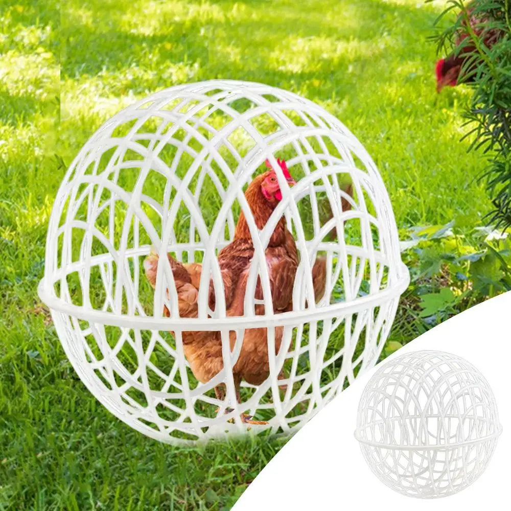 3-Piece Chicken Rolling Safety Ball Cages for Small Pets