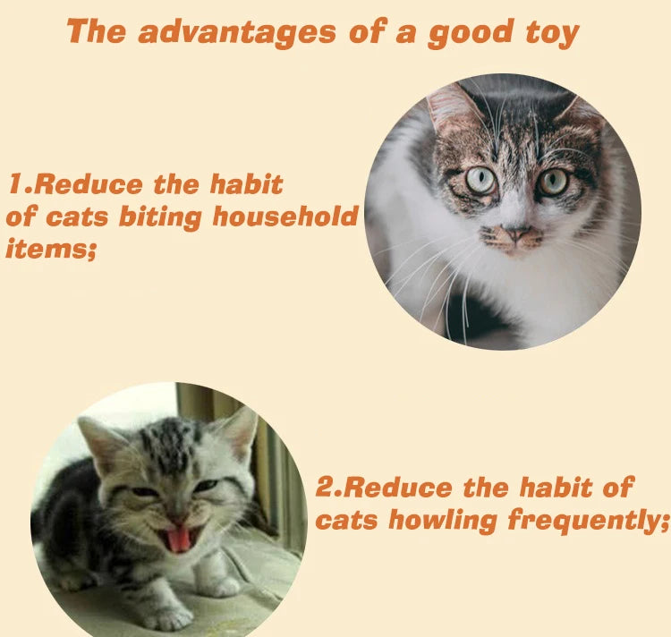 Interactive Chirping Mouse for Kittens to Relieve Boredom
