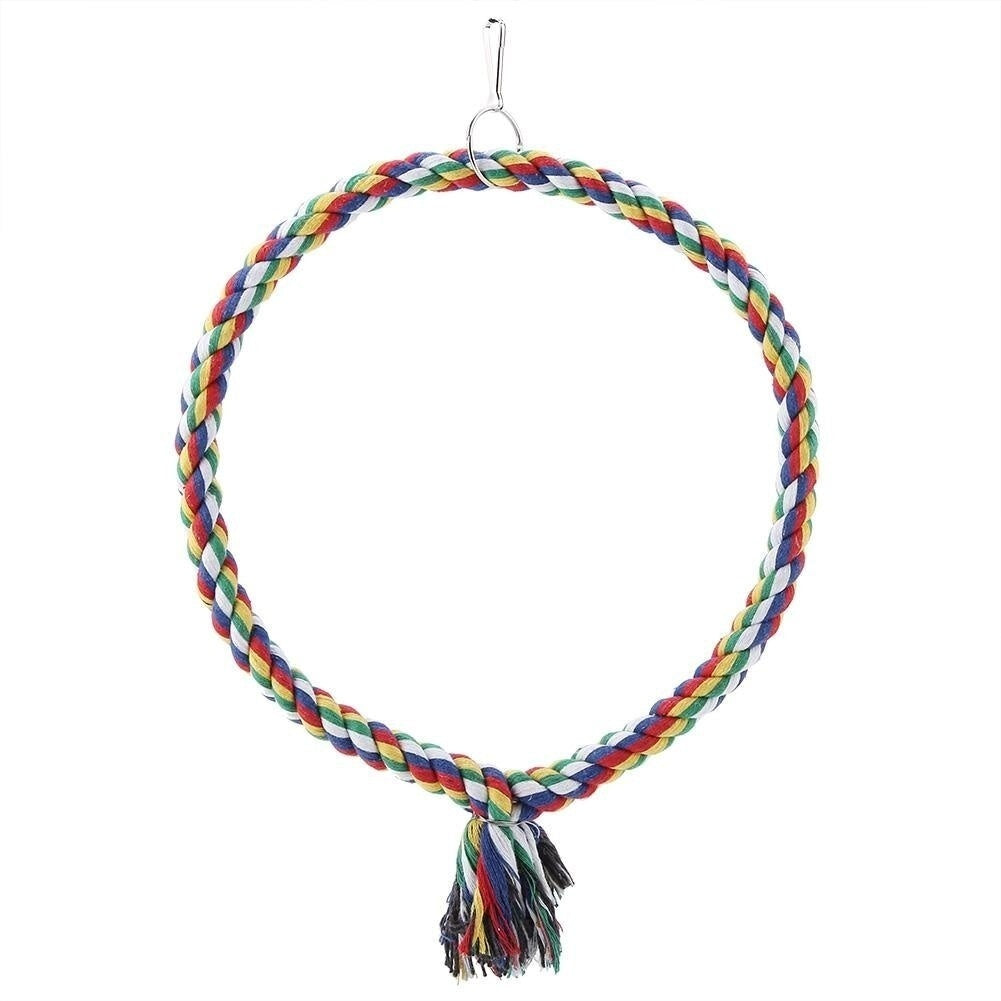 Parrot Rope Ring Swing