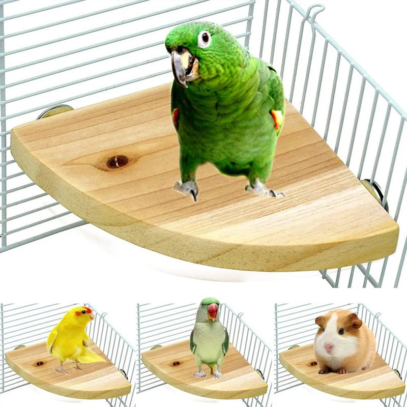 Fan-Shaped Wooden Perch Stand for Birds & Small Pets