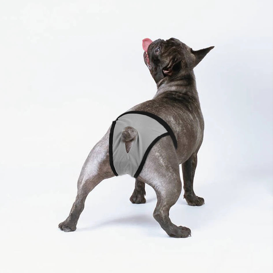 Female Dog Washable Diaper Pants with 8 Sanitary Pads, Anti-Harass Physiological Nappies